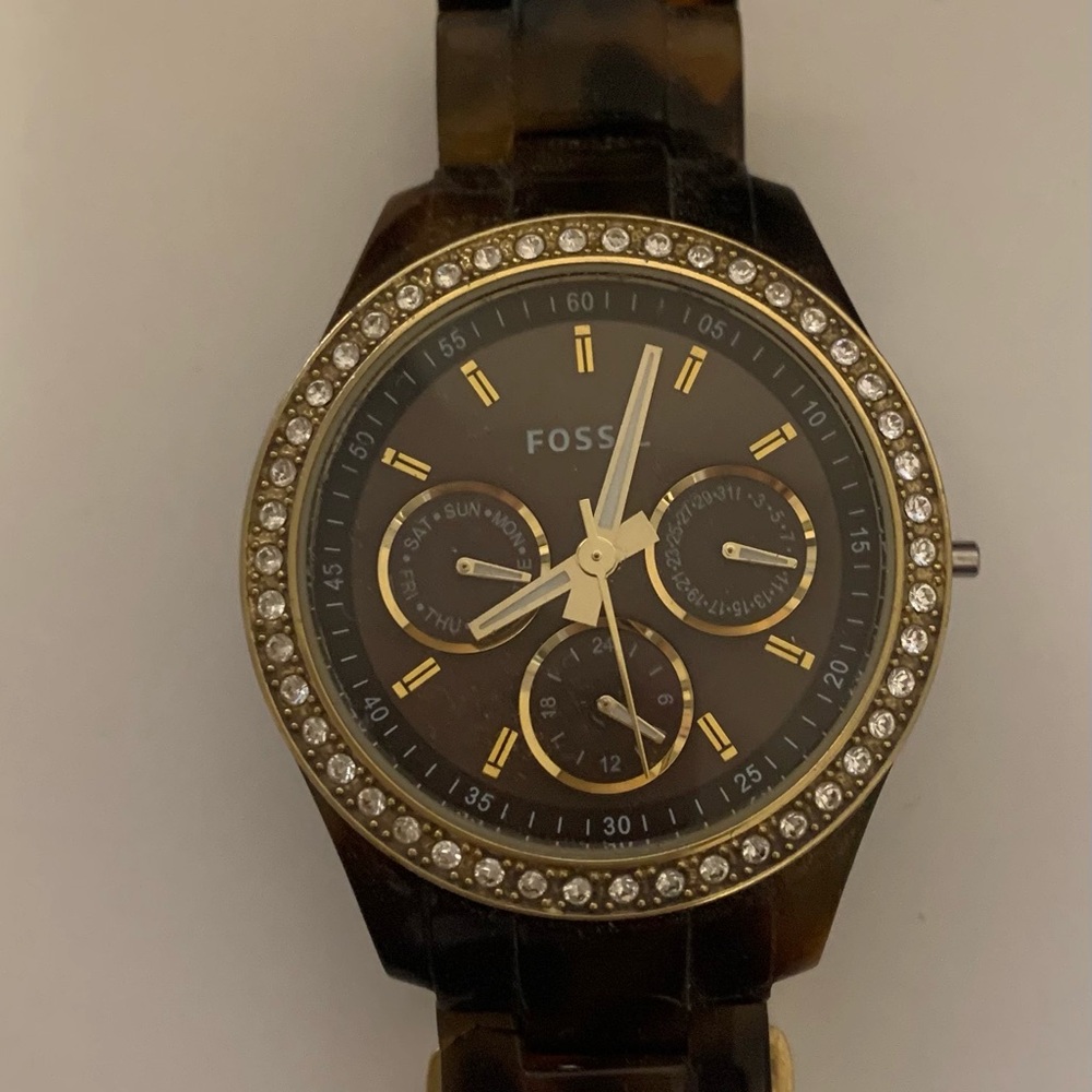 Fossil Tortoise Watch